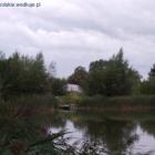 zdjęcie nr 13