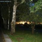zdjęcie nr 84