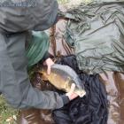zdjęcie nr 35