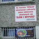 zdjęcie nr 45