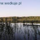 Fotka nr 1 z 3