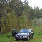 zdjęcie nr 7