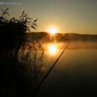 Poręby Rzochowskie