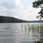 zdjęcie nr 3