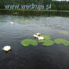 Fotka nr 3 z 4