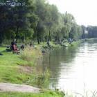 zdjęcie nr 8