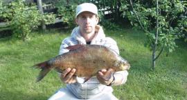 ponad 2 kg. urodzinowy prezent