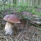 Niesamowity widok.