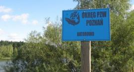 Fotka nr 0 z 14
