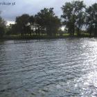 zdjęcie nr 5