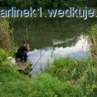 Fotka nr 1 z 4