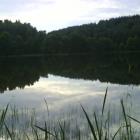 widok od strony lasu
