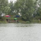 zdjęcie nr 11