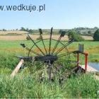 Fotka nr 4 z 5