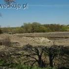 BUdowa
