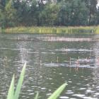 zdjęcie nr 7