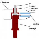 zdjęcie nr 8
