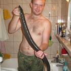 to już prawdziwy wąż około 1,40 kg