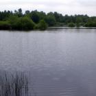 Ładzyń