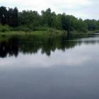 Ładzyń
