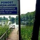 zdjęcie nr 2