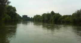 san w Gorzycach