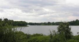 J.Lednica