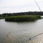 zdjęcie nr 27