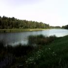 Fotka nr 1 z 4