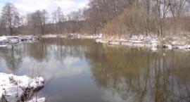 Fotka nr 0 z 15