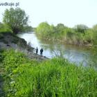 zdjęcie nr 45
