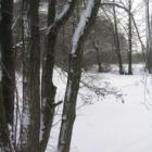 zdjęcie nr 8