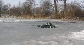 Fotka nr 0 z 12