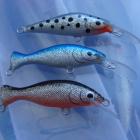Fotka nr 2 z 8