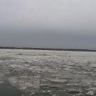 Fotka nr 4 z 5