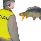 zdjęcie nr 2