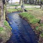 Struga