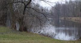 Staw Zimny