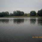 Fotka nr 5 z 12