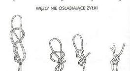 Fotka nr 0 z 6
