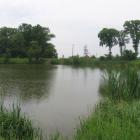 zdjęcie nr 8