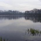 Fotka nr 3 z 10