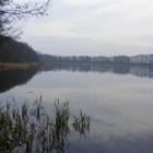 Fotka nr 4 z 10