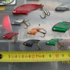 mini cykady ok 2g