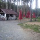 zdjęcie nr 8