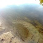Fotka nr 5 z 10