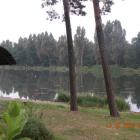 Fotka nr 5 z 19