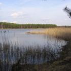 Fotka nr 1 z 2