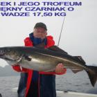 zdjęcie nr 36