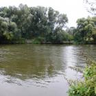 zdjęcie nr 15